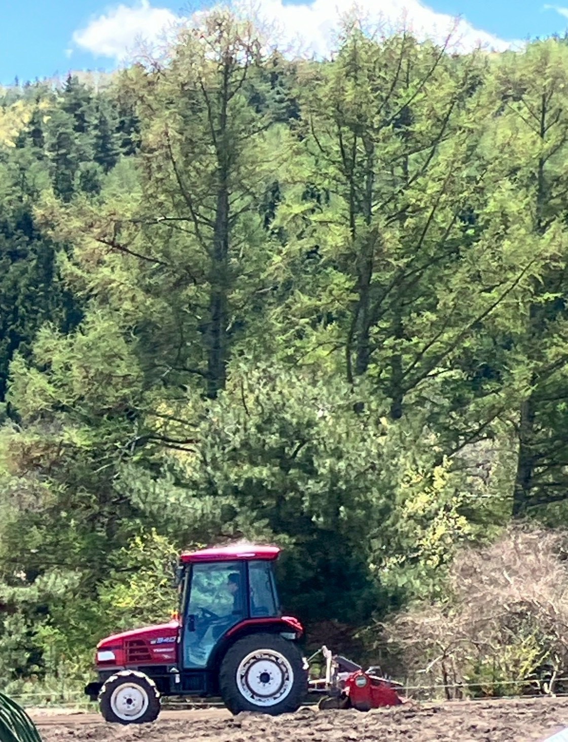 会社員時代の経験を表すイメージ