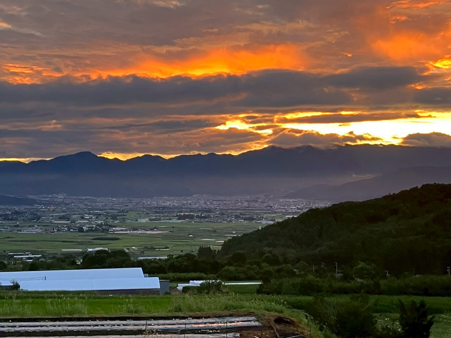 信州の農園風景