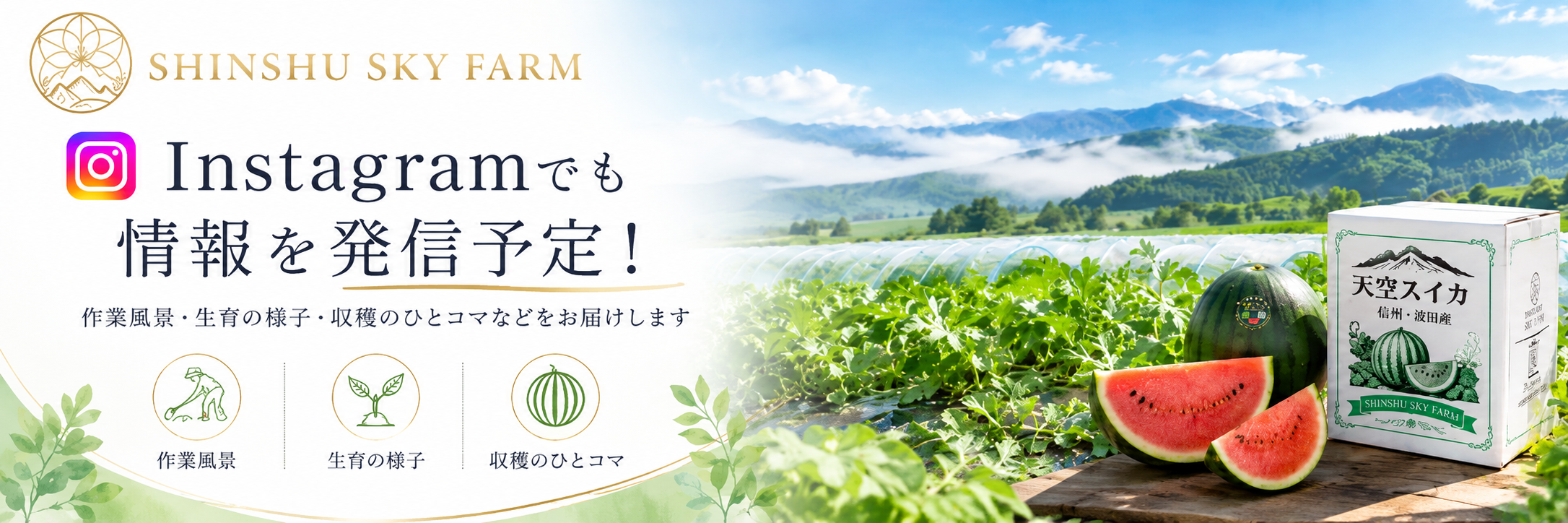 Instagramで最新情報を見る